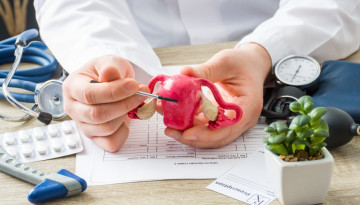 Changes in the size of the uterus. The size of the uterus by weeks of pregnancy