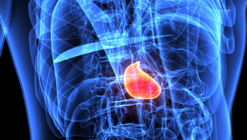 What is cholecystitis. Treatment of cholecystitis in adults