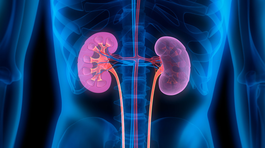 Laparoscopic nephrectomy: removal of a kidney.