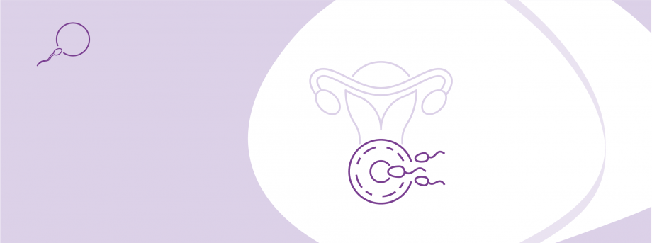 Програма ЕКЗ із донорськими кріоконсервованими яйцеклітинами за допомогою сурогатного материнства (до 9 яйцеклітин)