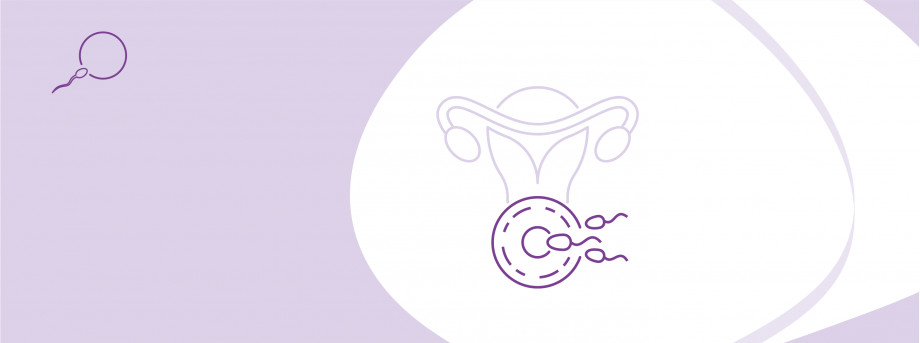 Програма ЕКЗ з донорськими кріоконсервованими яйцеклітинами (до 9 яйцеклітин) та переносом ембріонів