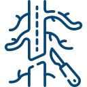 Интервенционная кардиология и эндоваскулярная хирургия